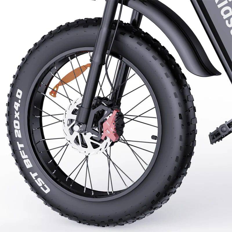 RIDSTAR Q20 Pro 20" Fat Tires Electric Bikes - Tech Trove Essentials 